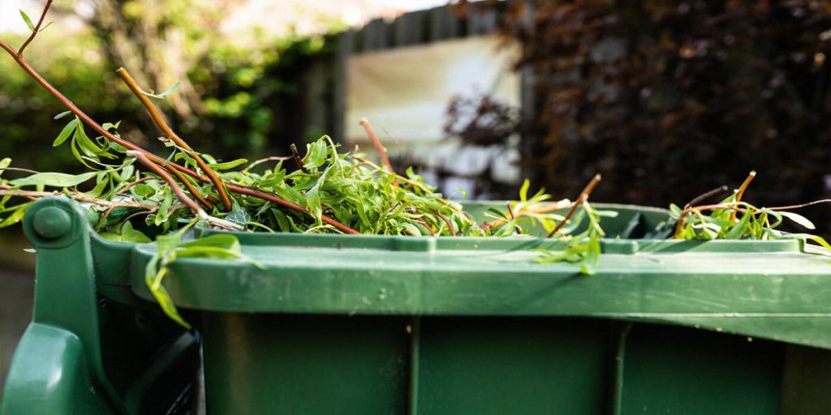 green bin with garden rubbish