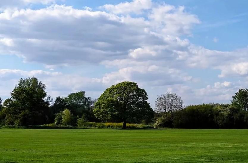 Sandon Park