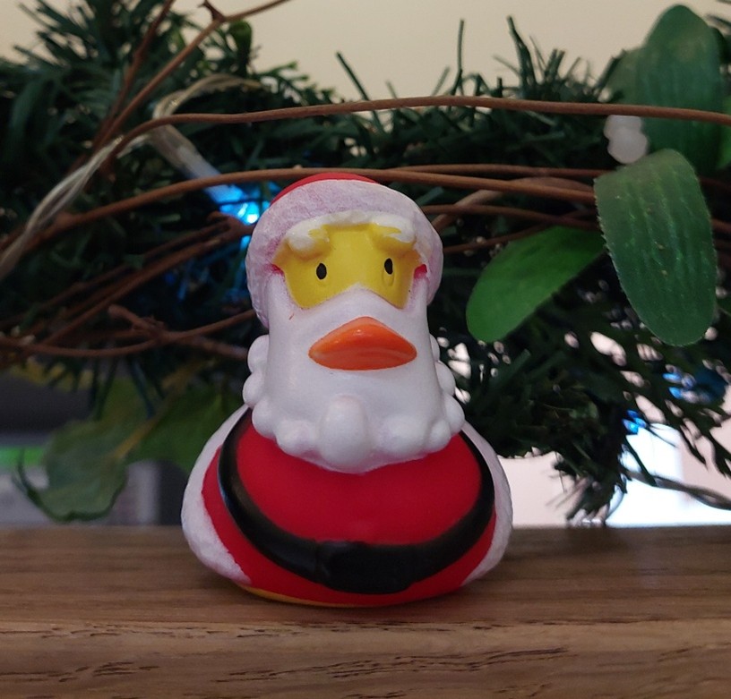 A duck dressed in festive clothing